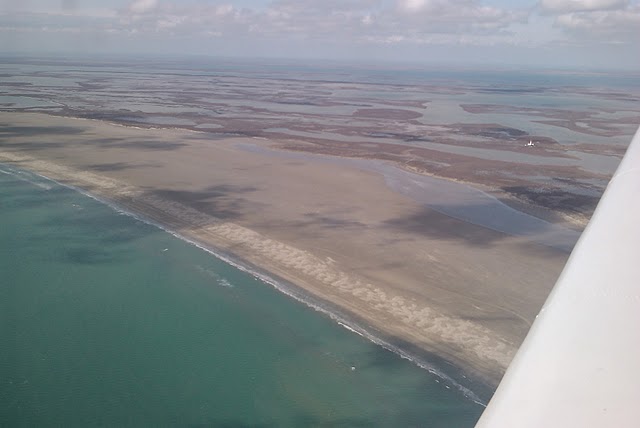 CAMARGUE