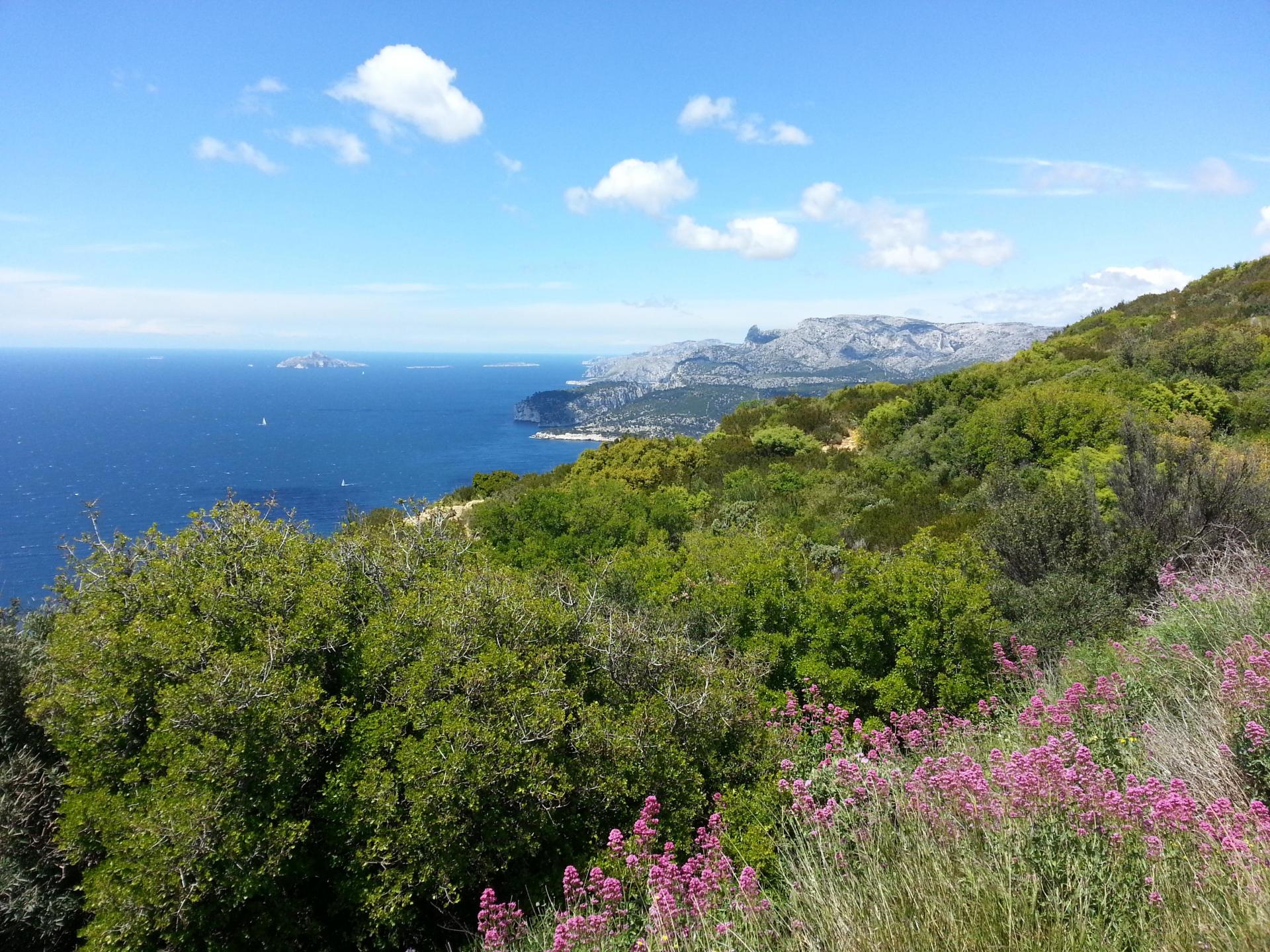 Les calanques de Marseille