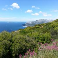 Les calanques de Marseille